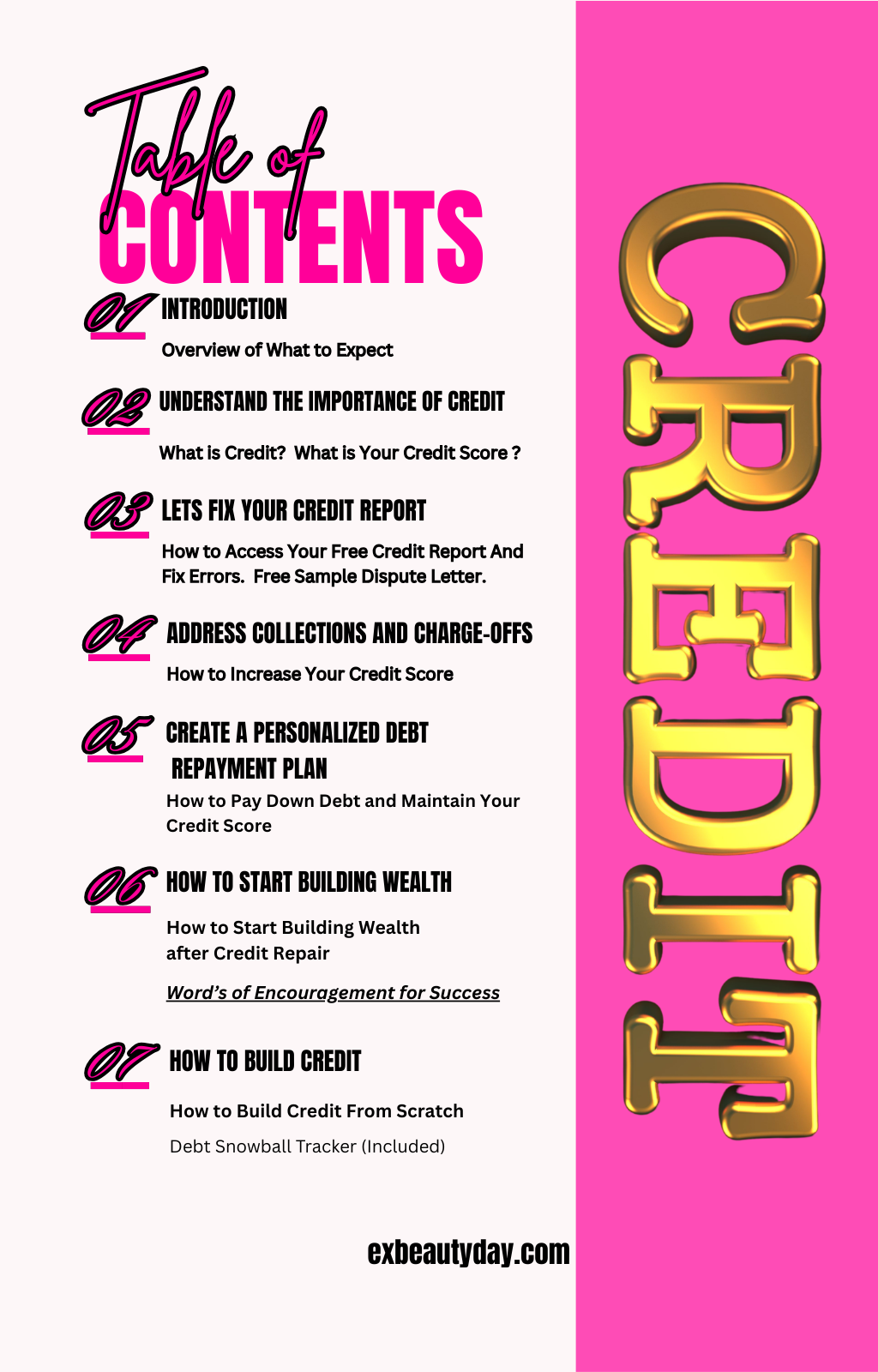 Repair Your Credit And Start Building Wealth in 90 Days E-book